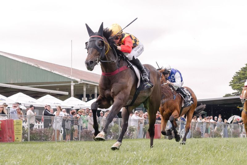 Beach Day racing at Strathalbyn post image