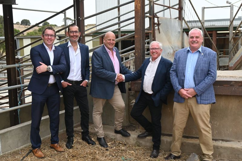 RAISING THE STEAKS: Fleurieu meat industry reinvigorated by abattoir’s re-opening post image