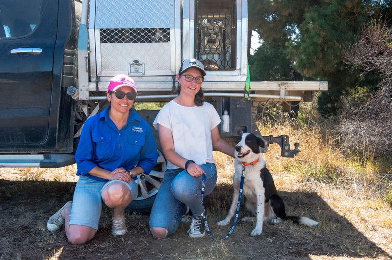 Cross and Bazza take the points at Strath trial post image