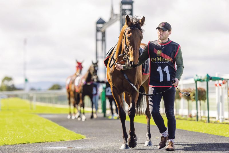Dream start for local horse training duo after track success post image