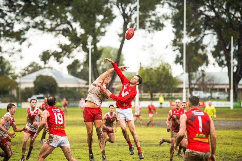 Roosters win a battle of the fittest against the Demons post image