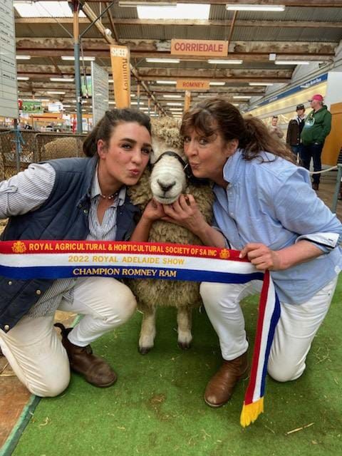 Clean sweep for Strathalbyn stud owner at Royal Adelaide Show post image