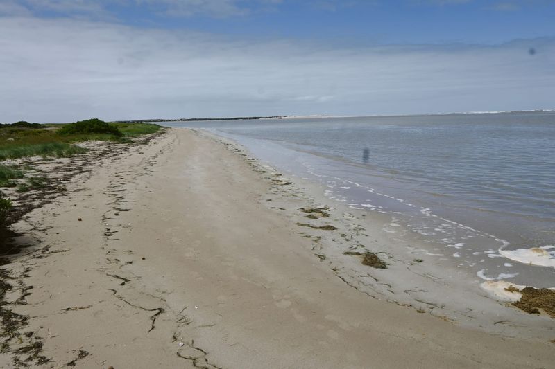 Call for caution along the coast over summer post image