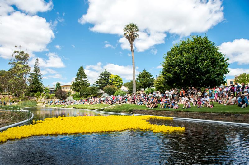 Duck Race deemed ‘best one ever’ post image