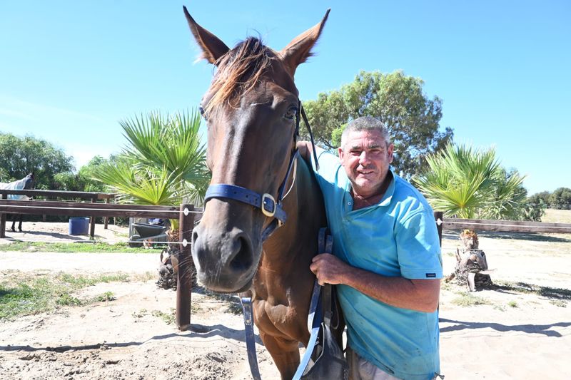 Local horse comes second post image