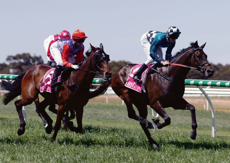 Huge crowd hits Strathalbyn racecourse for Vignerons Day post image