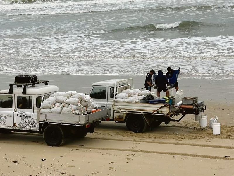 ‘Unbelievable’ boom in pipis post image