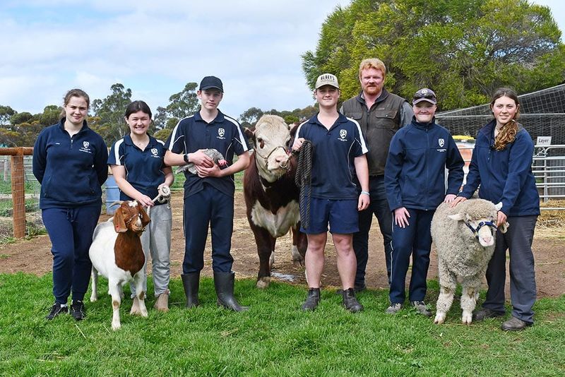 It's Show-time: Eastern Fleurieu students gear up for Royal Adelaide Show competition post image