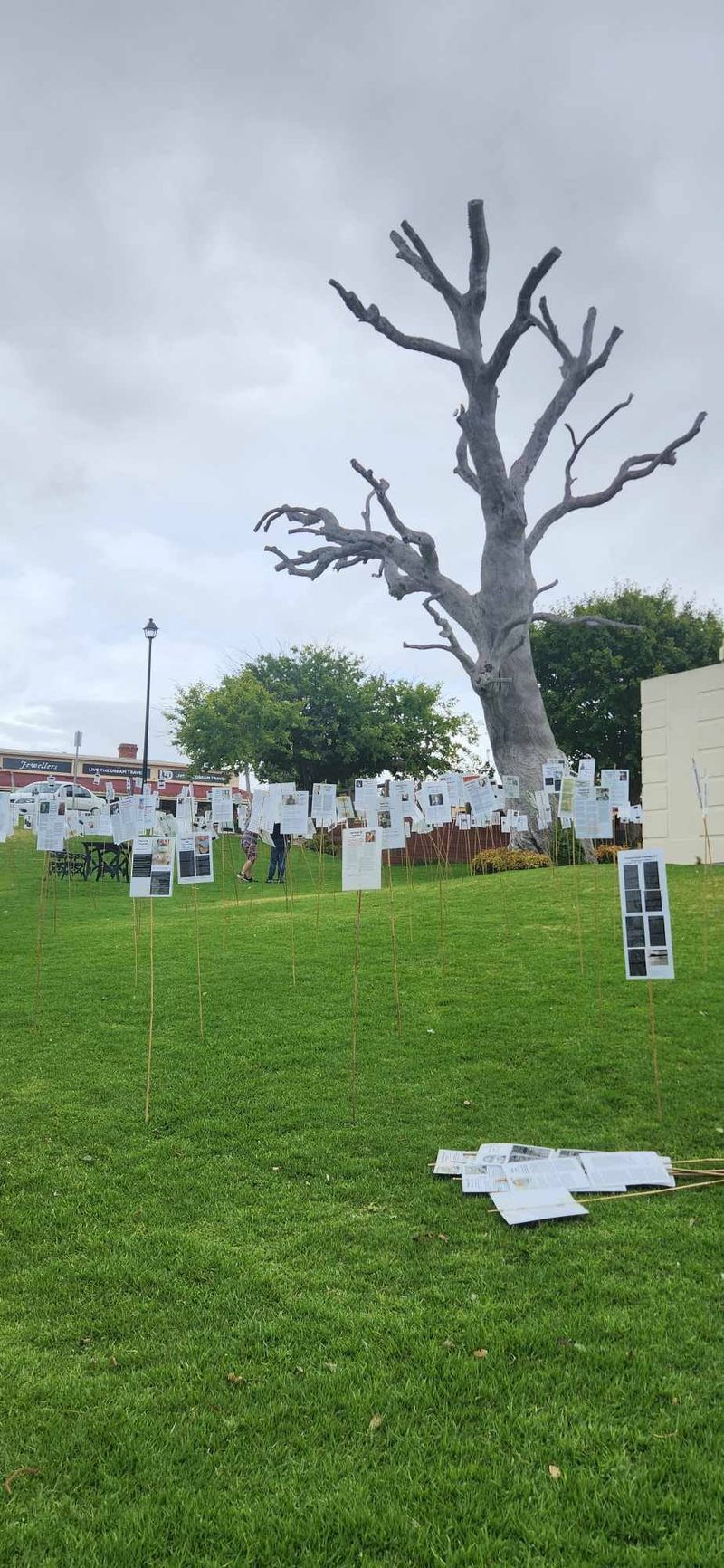 ‘Forest of the Fallen’ display erected at Memorial Gardens post image