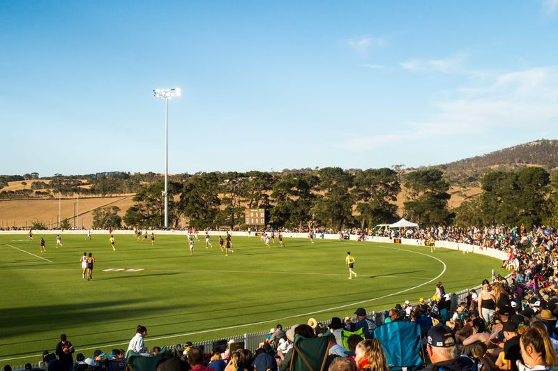 Crows swoop on Port Adelaide at Mt Barker post image