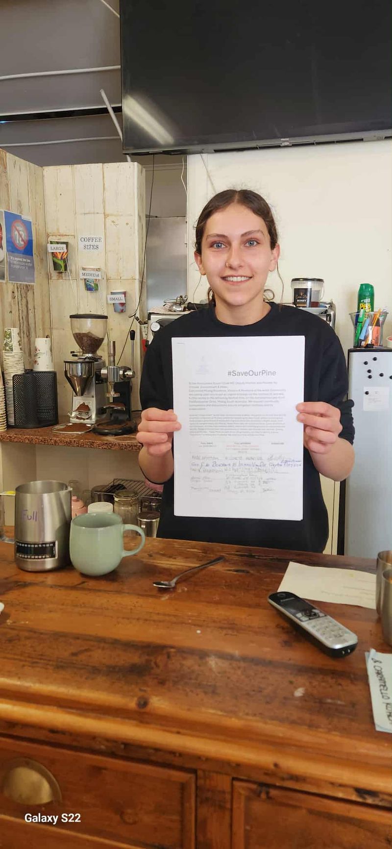 Growing support to save Milang tree post image