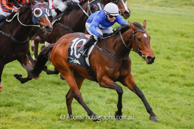 Locals nab track wins on Strathalbyn Racing Club’s Living Legends Day post image