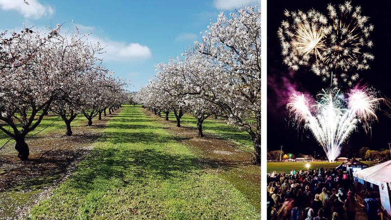 Upcoming Willunga Almond Blossom Festival to offer a cracking day out post image