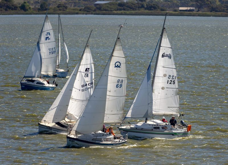 Algae blooms cause change of tack for Rat Race Regatta post image