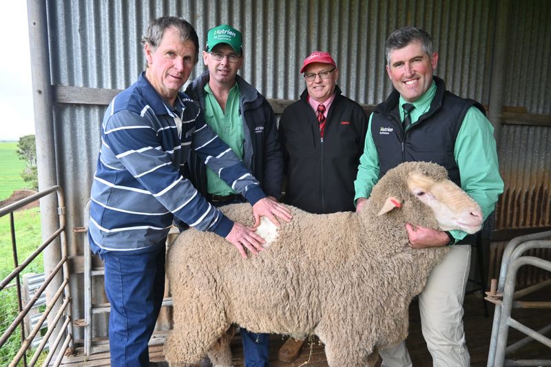 Dalveen ram sale has a woolly good turn out post image