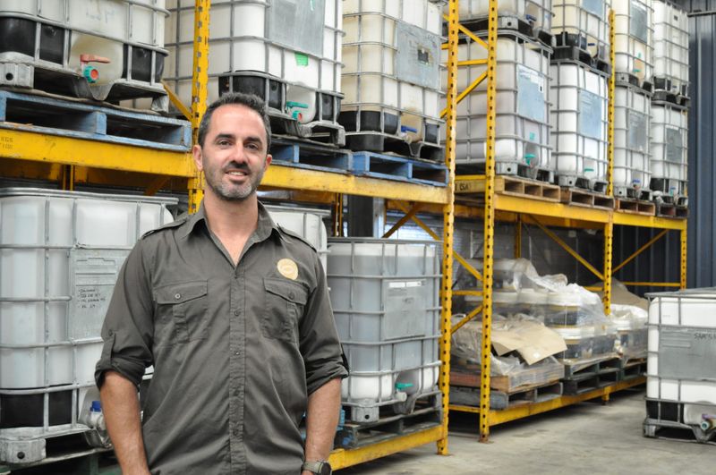 Olives shine on the Fleurieu post image