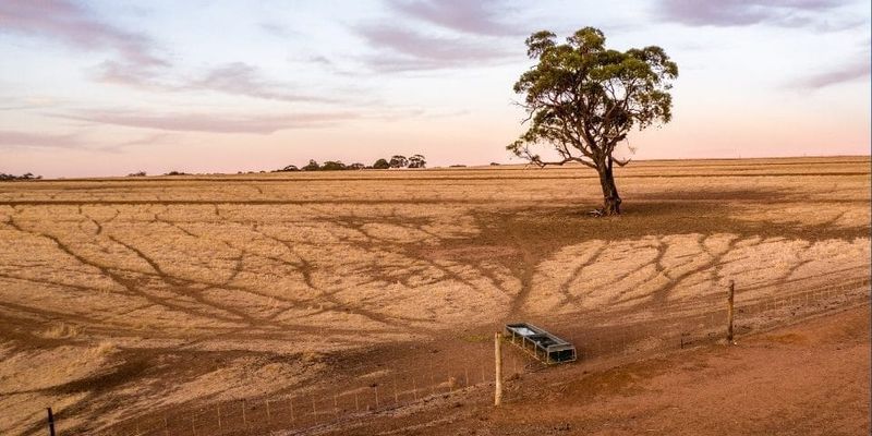 Calls to moderate water usage amid SA’s record dry summer post image