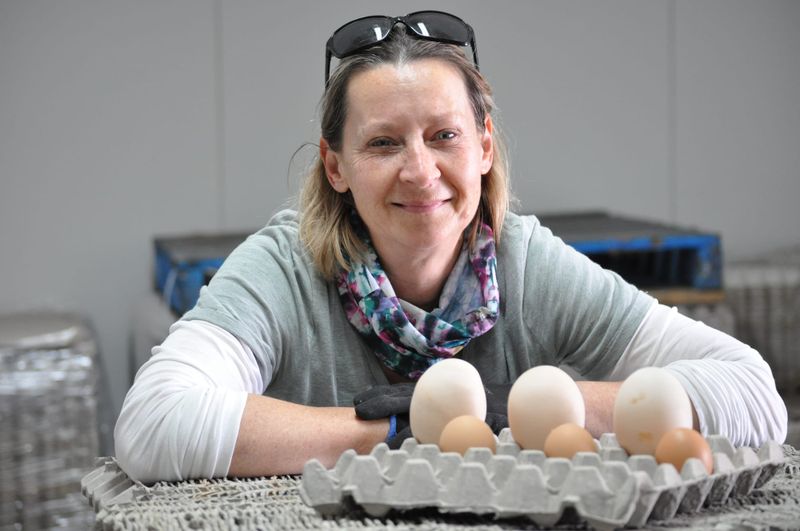 Egg-citement over giant find at a chicken farm near Milang post image