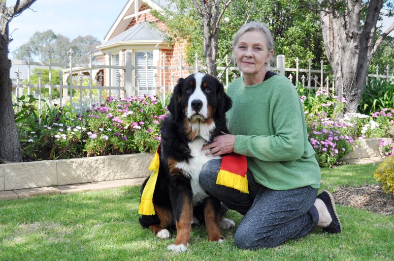 Local Bernese triumphs at Royal Show post image