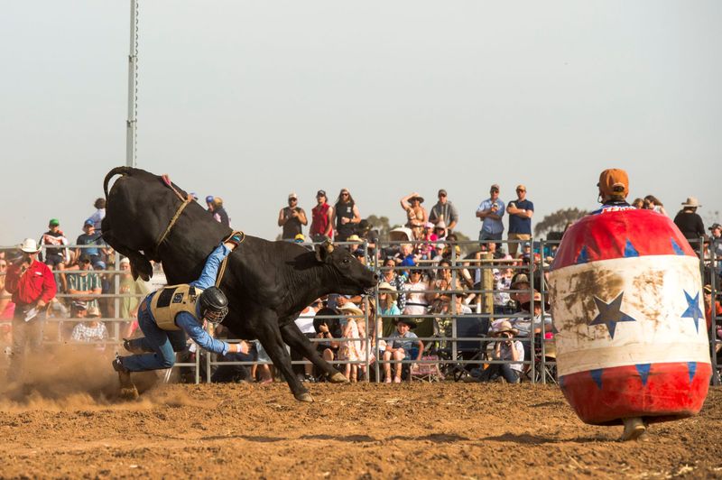 What a ride for Strathalbyn’s rodeo post image