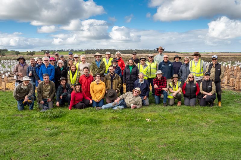 Planting to celebrate power of trees post image