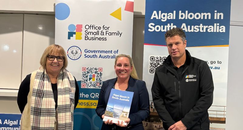 ALGAL BLOOM SUMMER PLAN: How to access business support post image