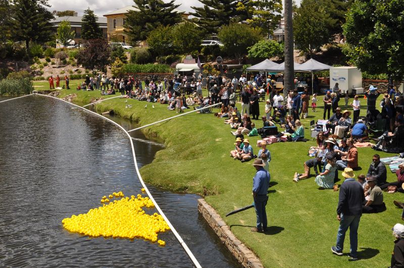 Ducky day out for The Great Duck Race post image