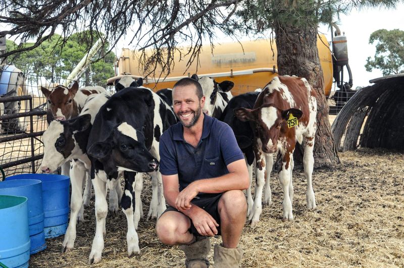 Keeping dairy cattle in the family post image
