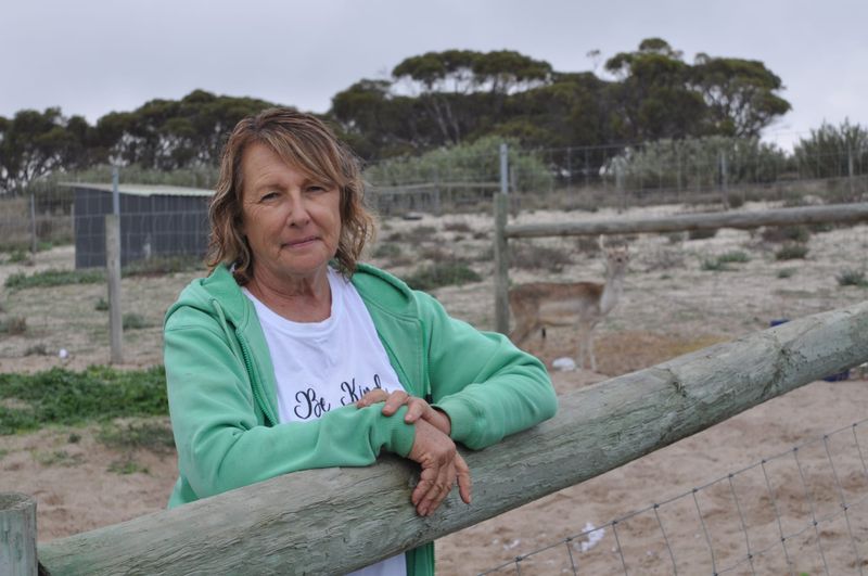 From saving one lamb to 300 animals post image