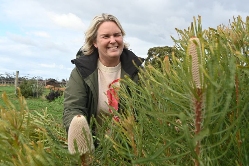 Flower farmer says it’s not too late to plant natives post image