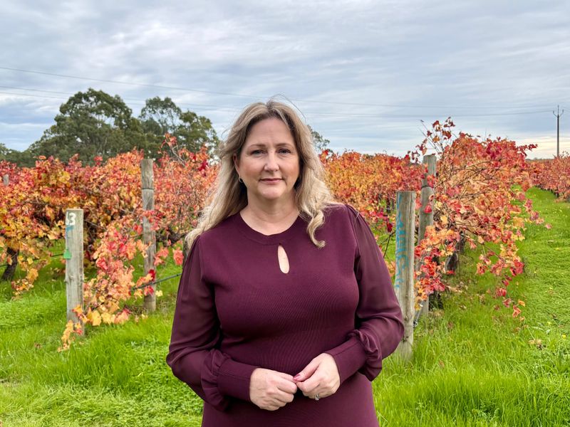 Calls for support for wine industry post image