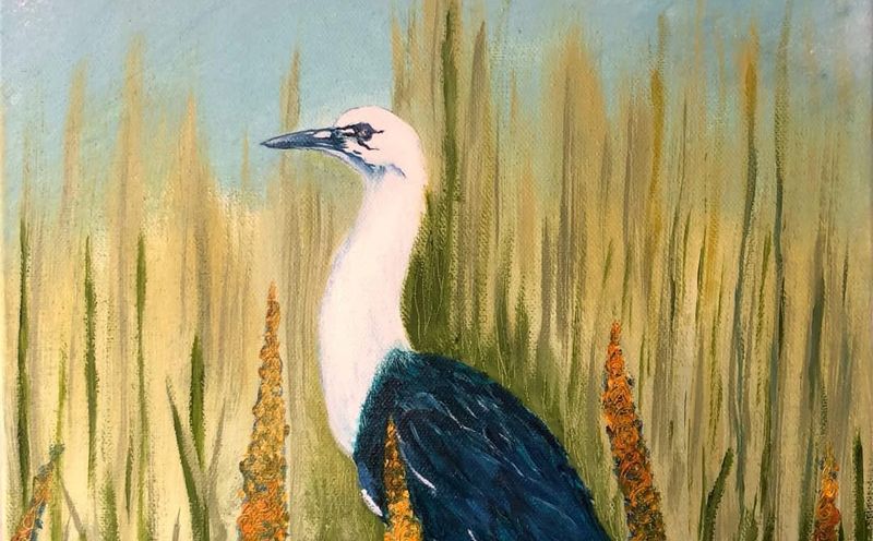 Celebration of local wildlife in new exhibit post image