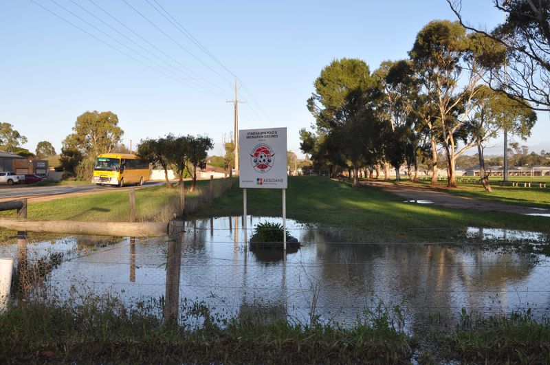 Wild weather thrashes region post image