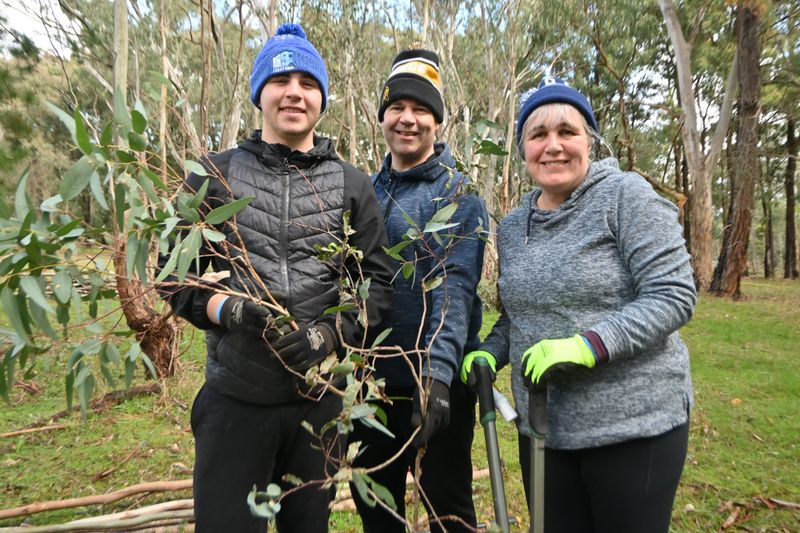 Volunteers provide koala-ty care post image