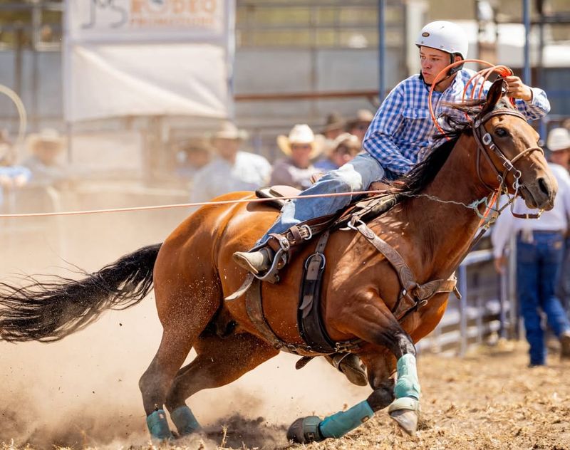 Darcy sets his eye on national roping crowns post image