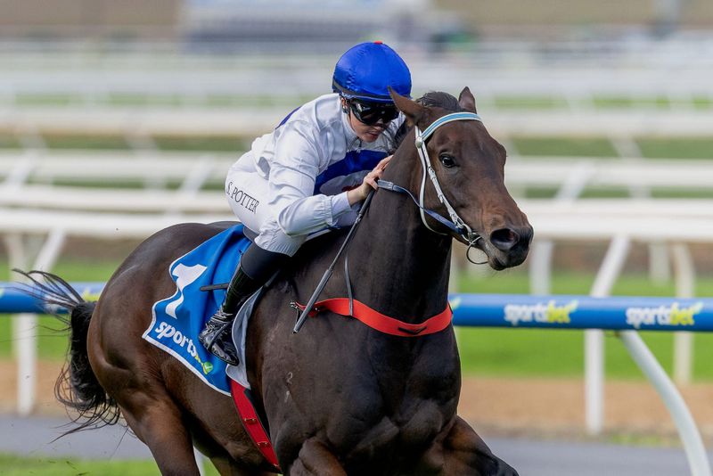 Potter lands top racing award post image