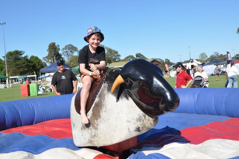 Meadows Country Fair delivers post image