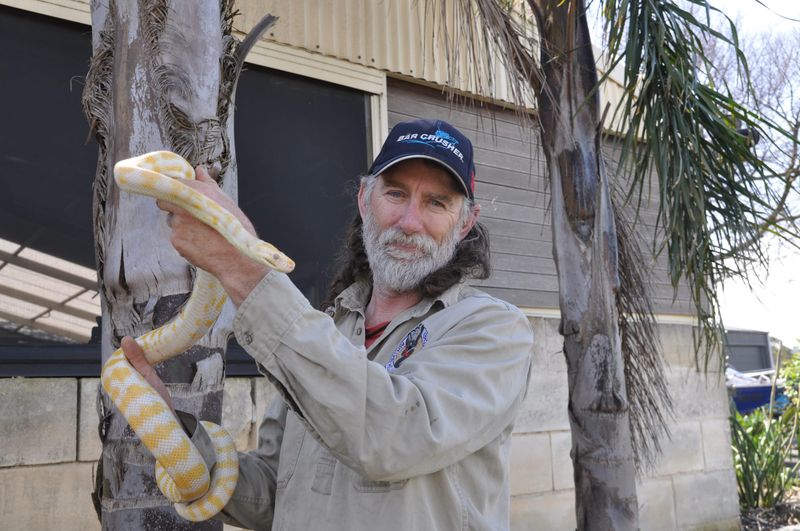 Welcoming the snake season as warmer weather arrives post image