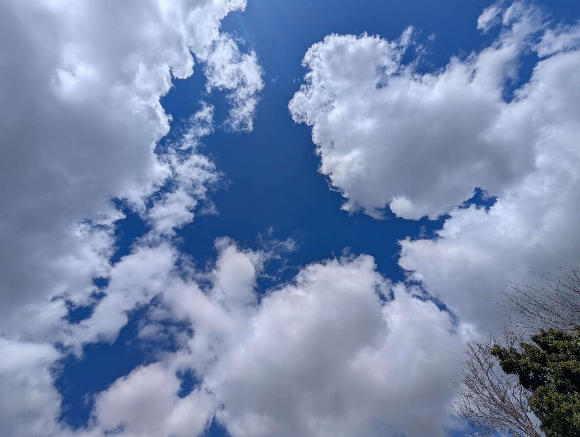 spellin' the edge of surrender