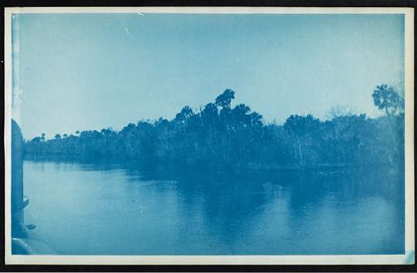 a cyanotype of a river bank