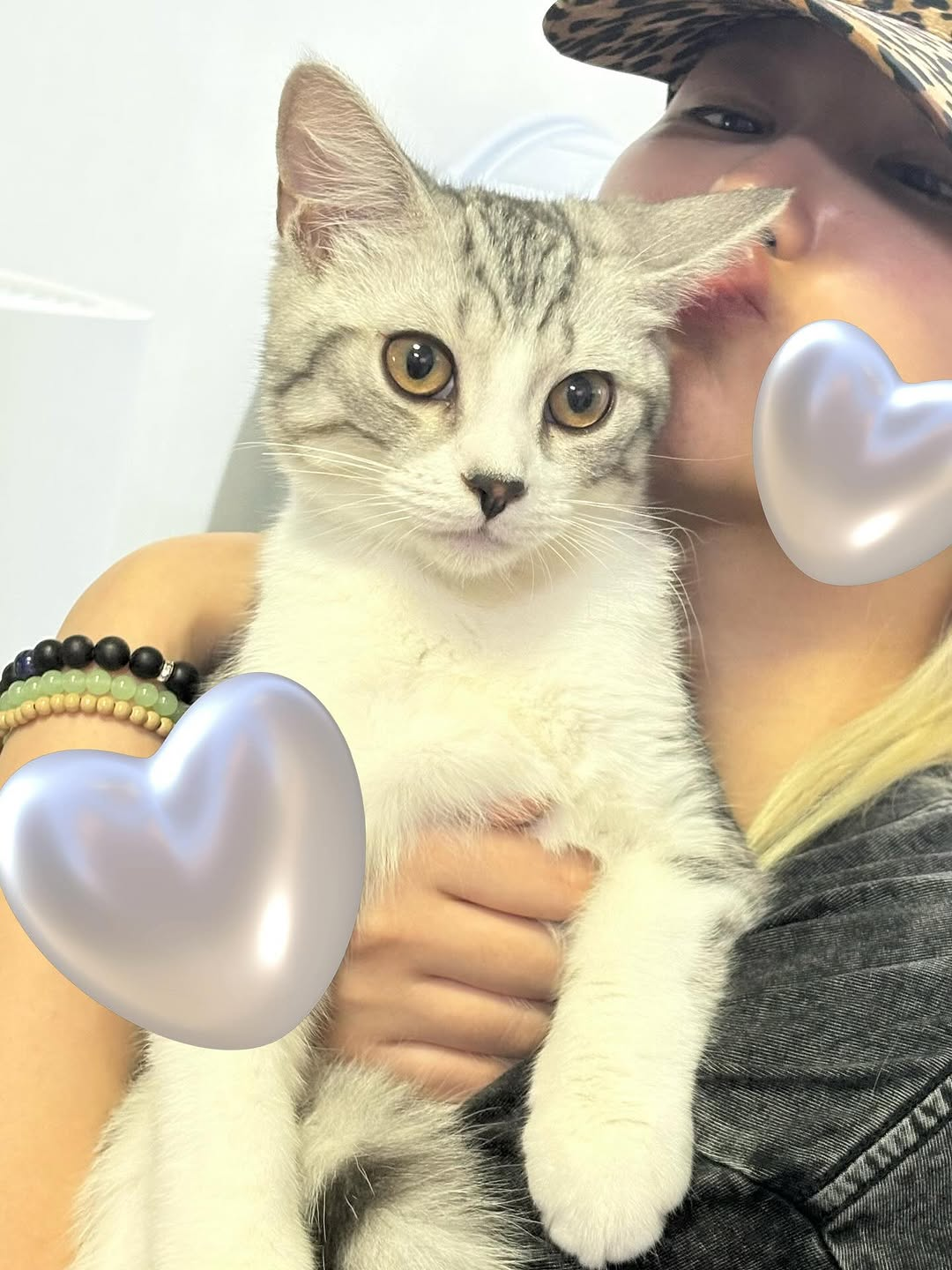 Siyeon holding a white and grey striped cat and giving it a kiss.