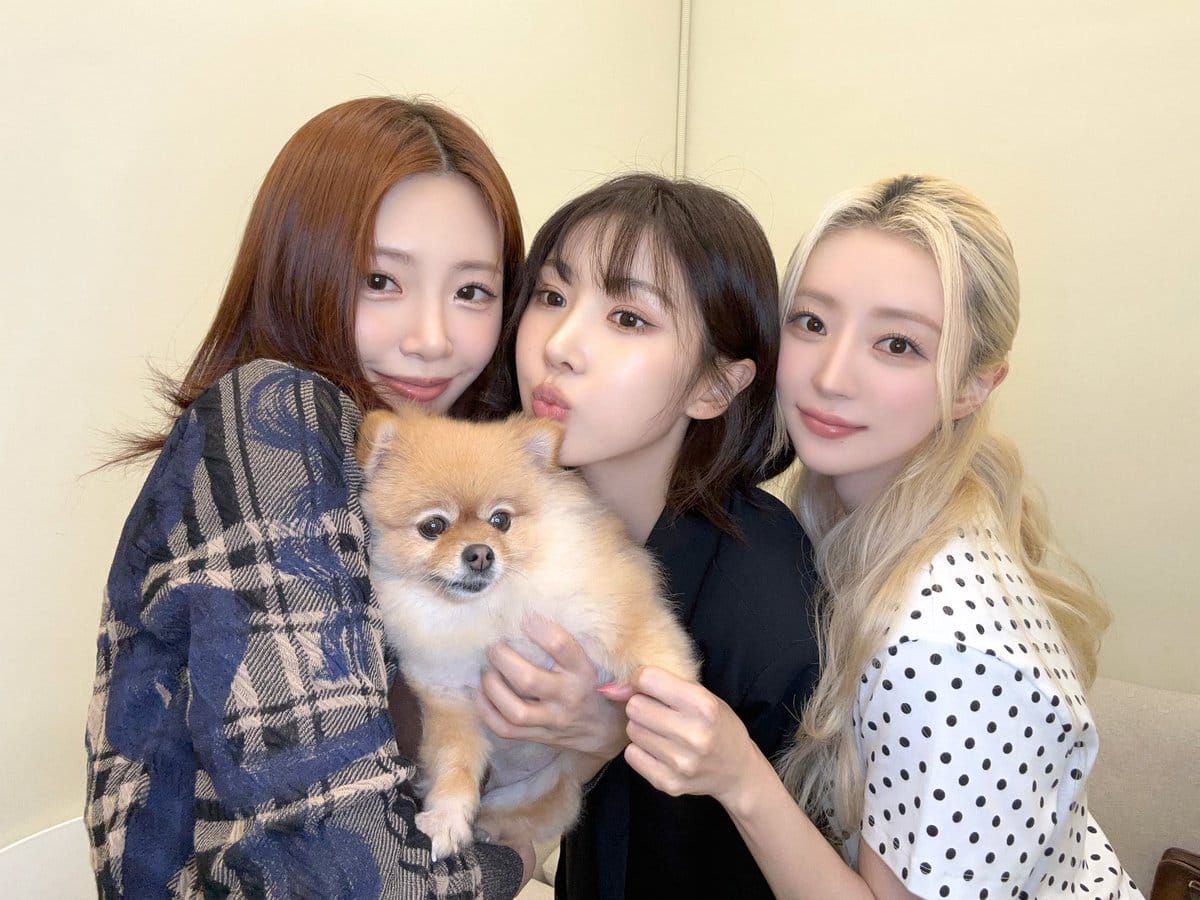 Retrospective: UAU Carries Spirit Of Dreamcatcher Forward With A New And Fresh Debut