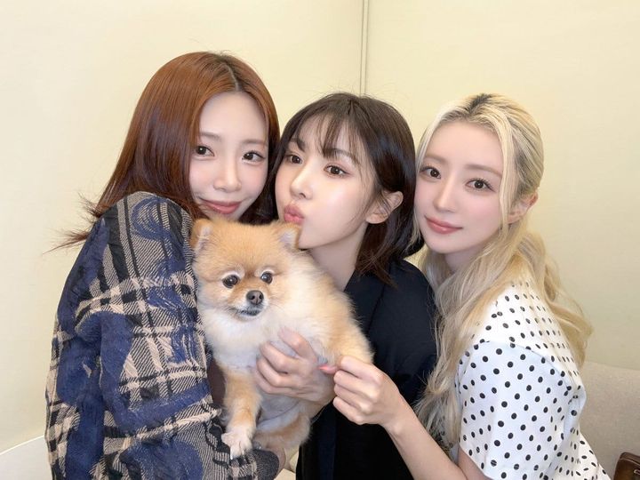 Retrospective: UAU Carries Spirit Of Dreamcatcher Forward With A New And Fresh Debut