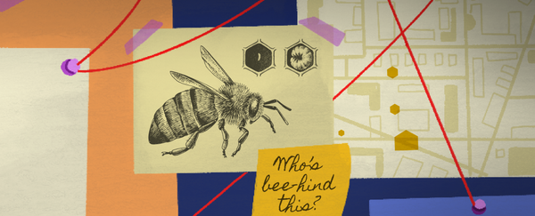 Classification and Biodiversity: Do we need to save the bees?