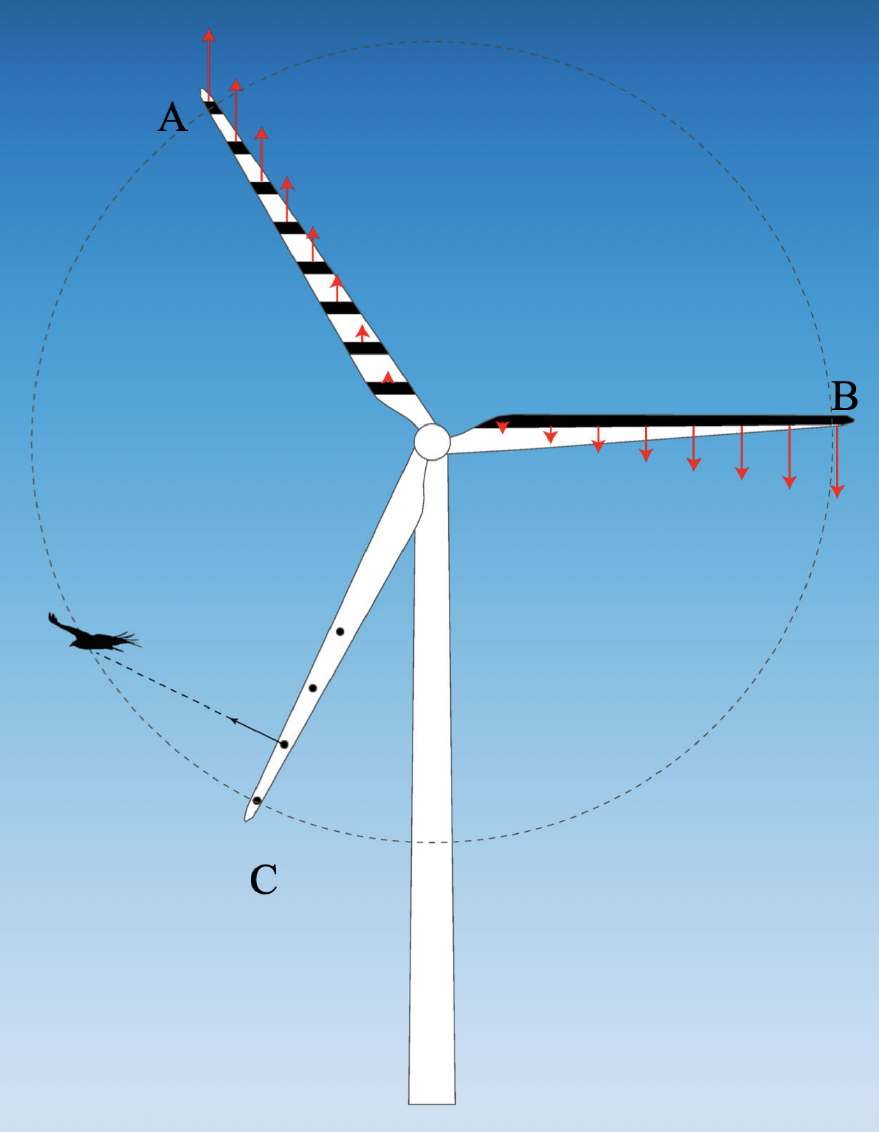 Diagram of patterns painted on a wind turbine to reduce bird collisions