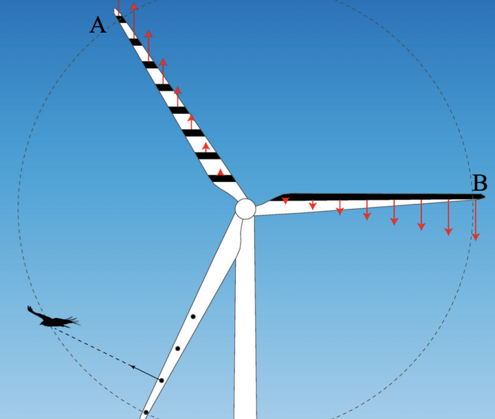 Diagram of patterns painted on a wind turbine to reduce bird collisions