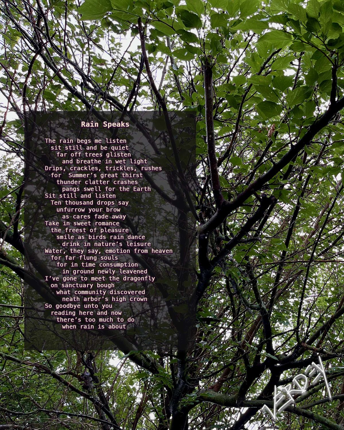 Rain Speaks. Poem.