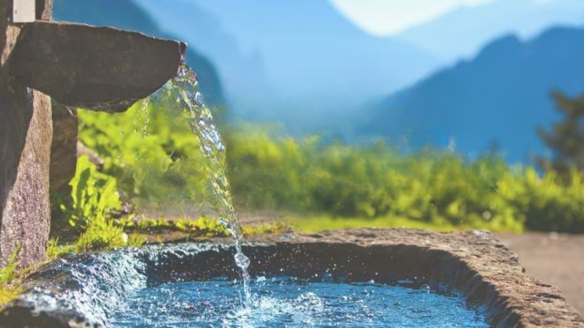 The Sovereign's Assembly