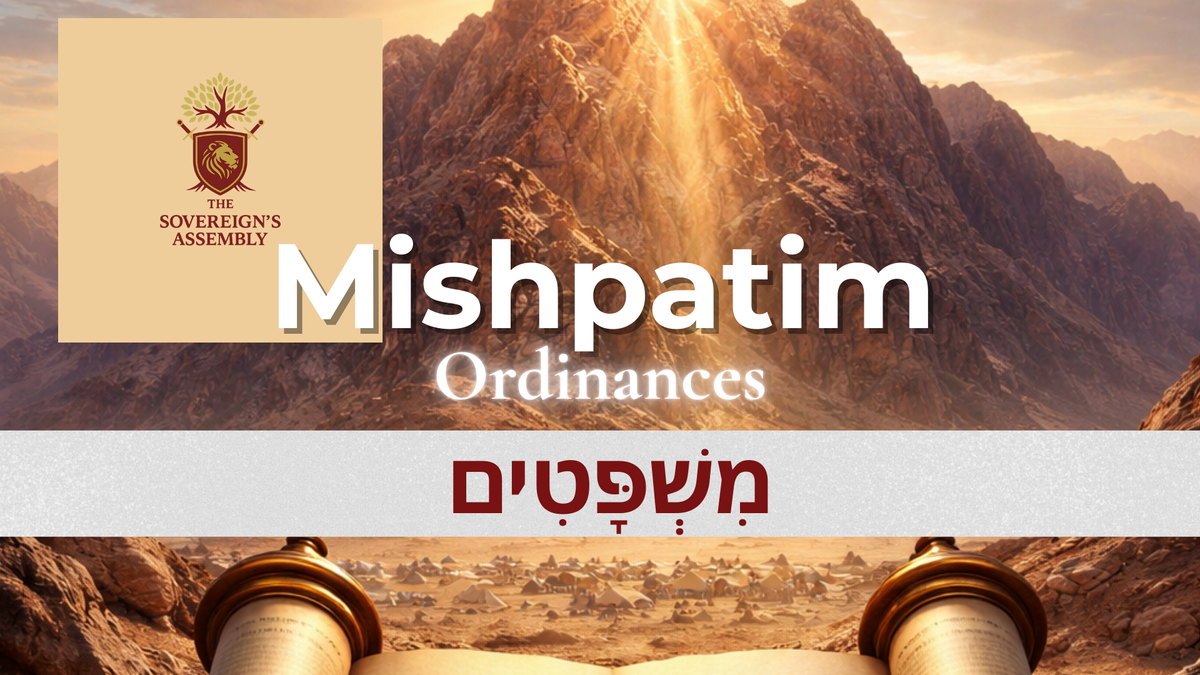 Mishpatim  |  Judgments   מִּשְׁפָּטִים