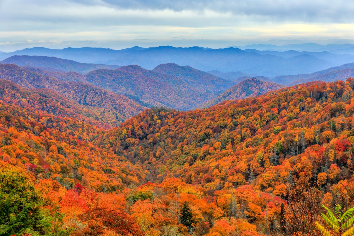 Autumn in the Mountains